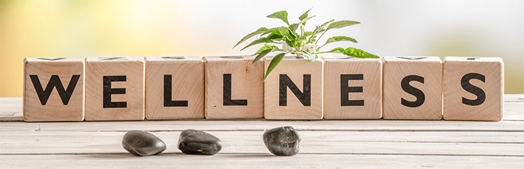 Wellness Coaching
