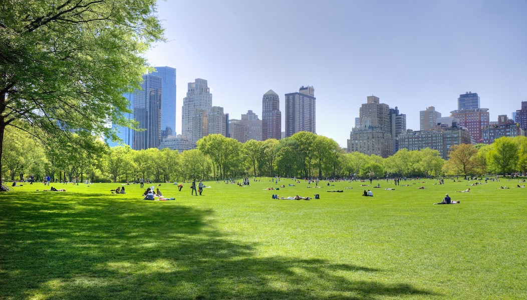 Wide photo of Central Park in sunlight