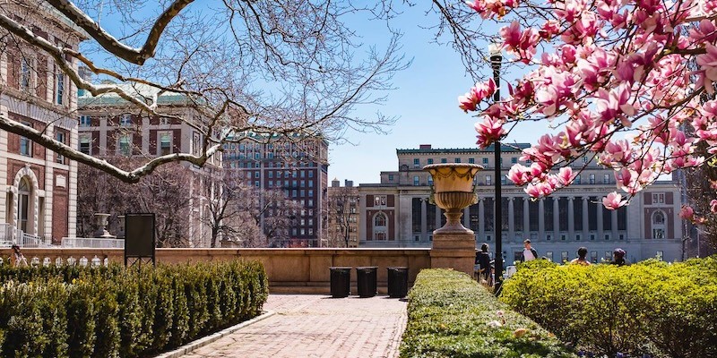 campus in springtime