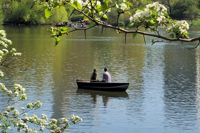 Retiree Benefits