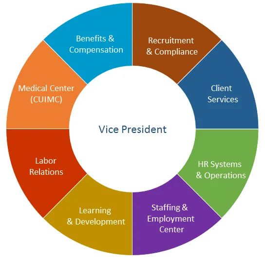 Services We Provide